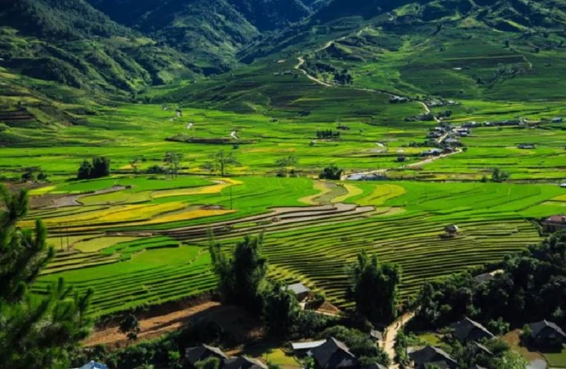 3-Day Sapa Trekking Tour: Y Linh Ho, Lao Chai, Ta Van, Ban Ho, Nam Tong, Thanh Phu & My Son
